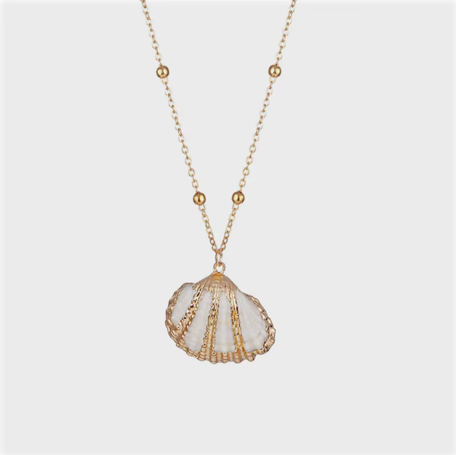 Drowned Gold Shell Necklace